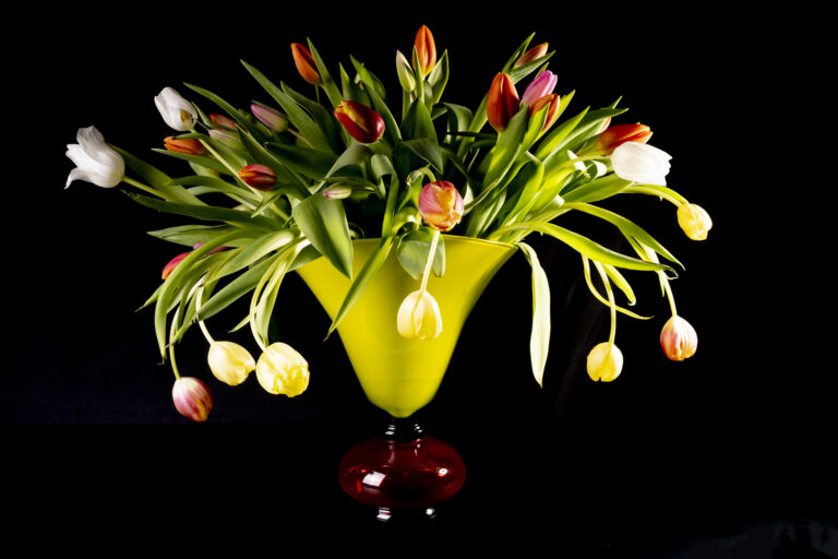 Kleurrijke tulpen in een vaas, foto-art van Gaby Hendriksz